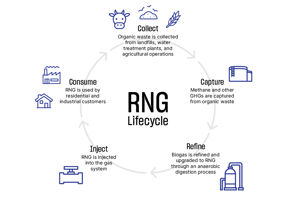 RNG-lifecycle